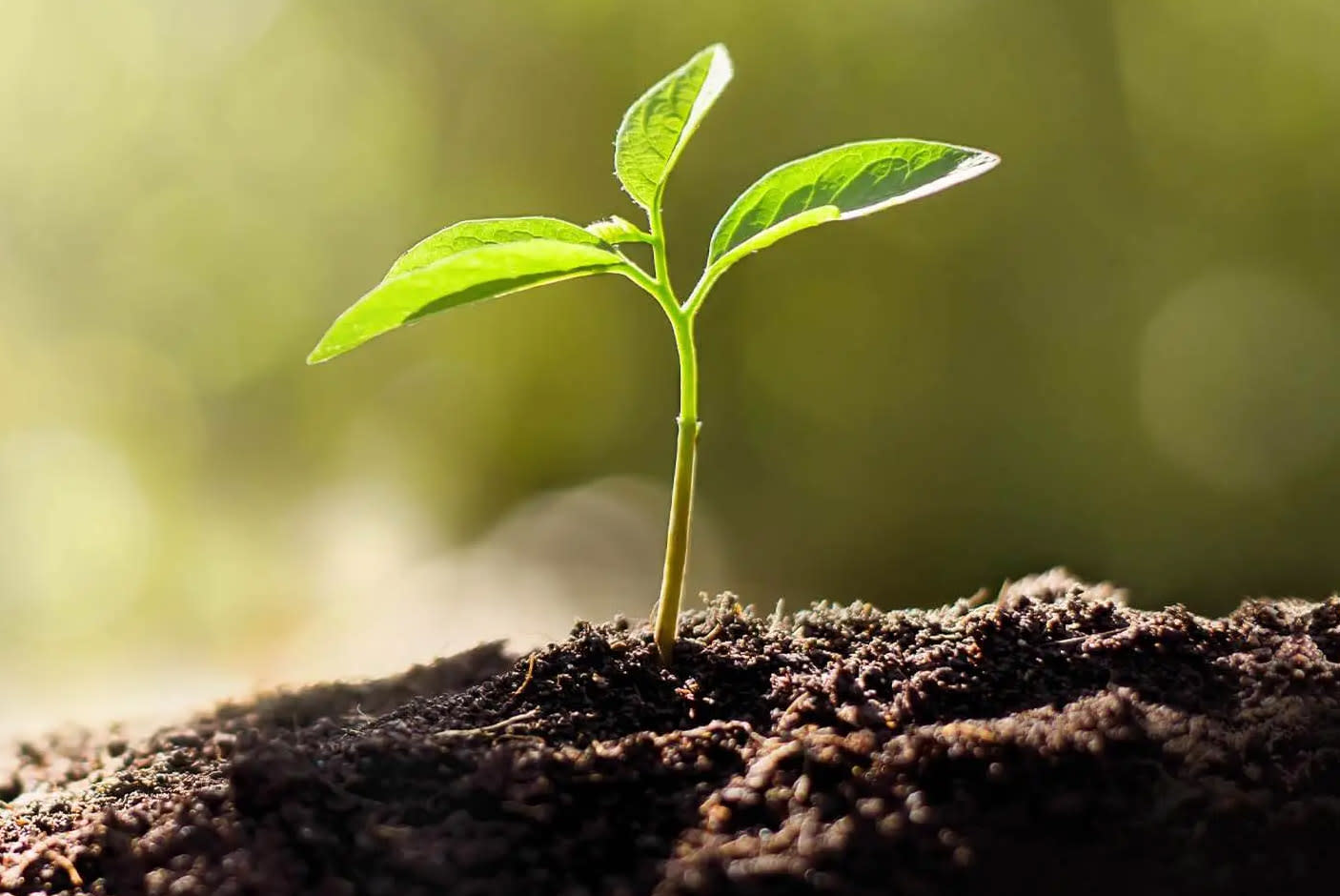 4706110-Tile-7-EPEAT-Registered