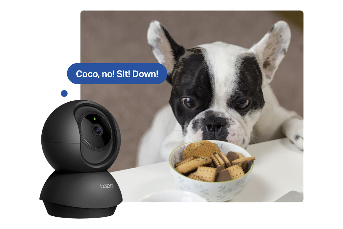 4712005-Tile-5-Two-Way-Audio