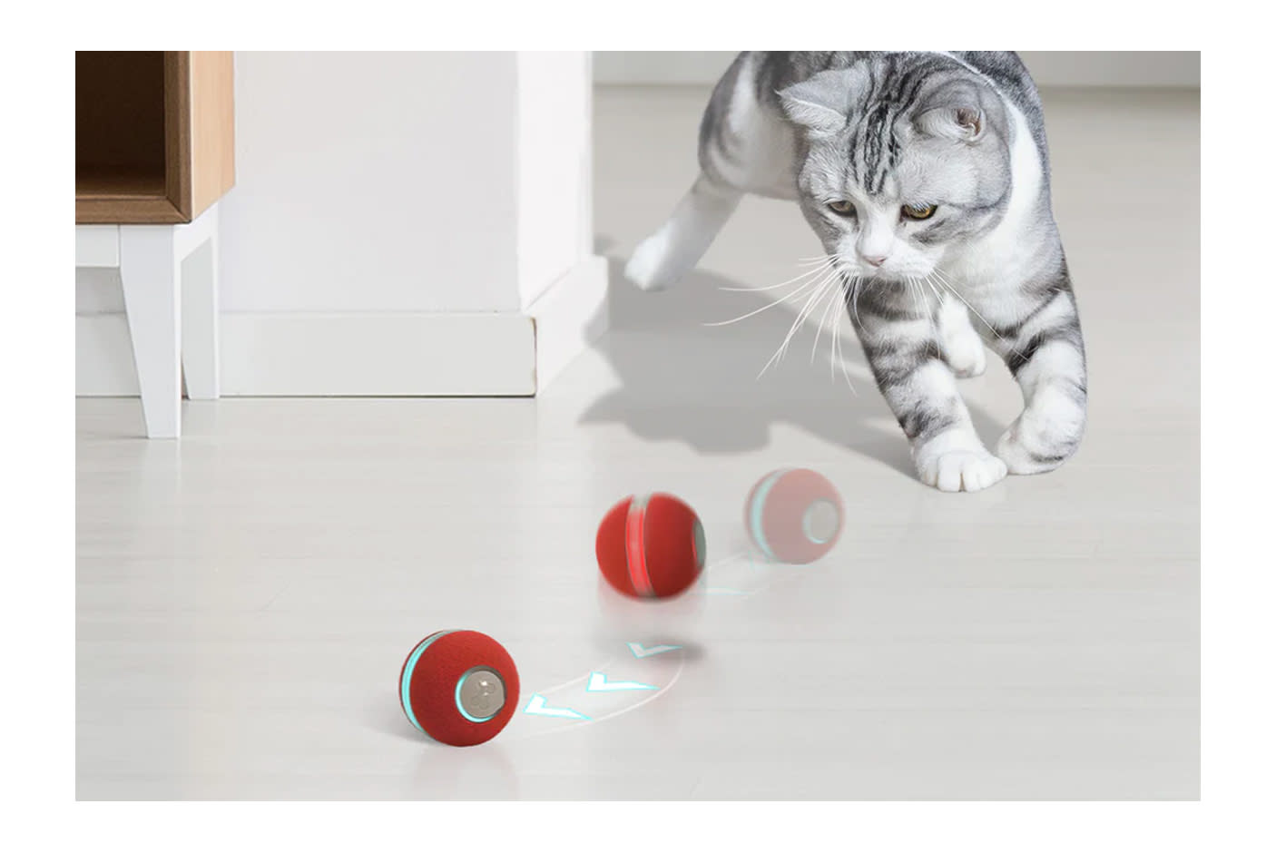 4713052-Tile-3-cheerble-ball-m1-active