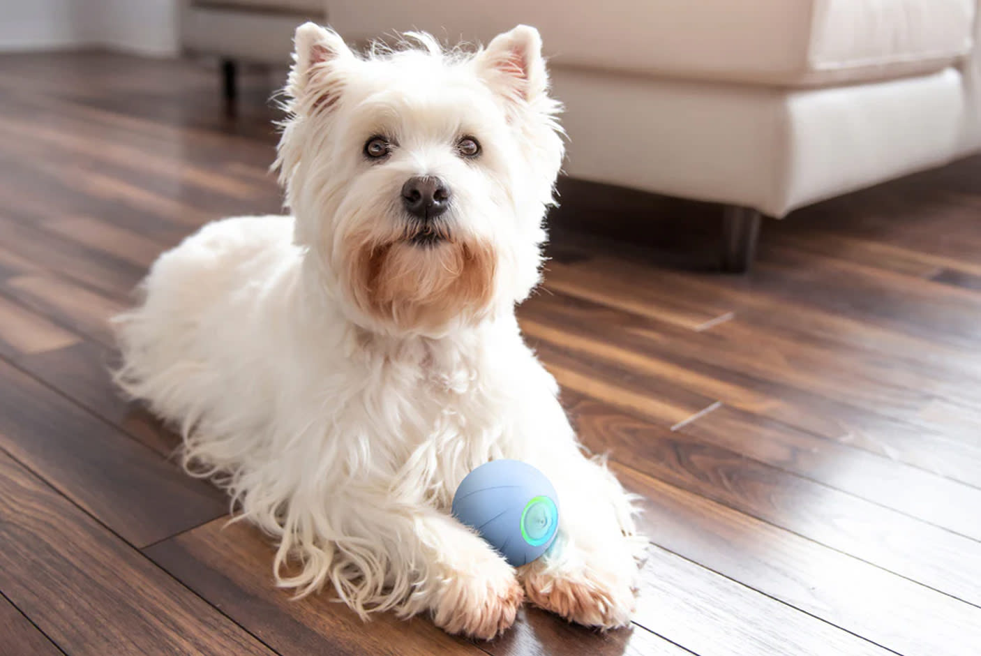 4713060-Tile-3-Cheerble-wicked-ball-chill