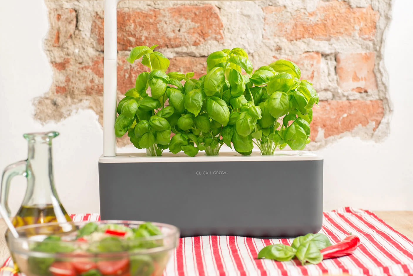 4716353-Tile-1-Click-n-grow-garden3-fresh