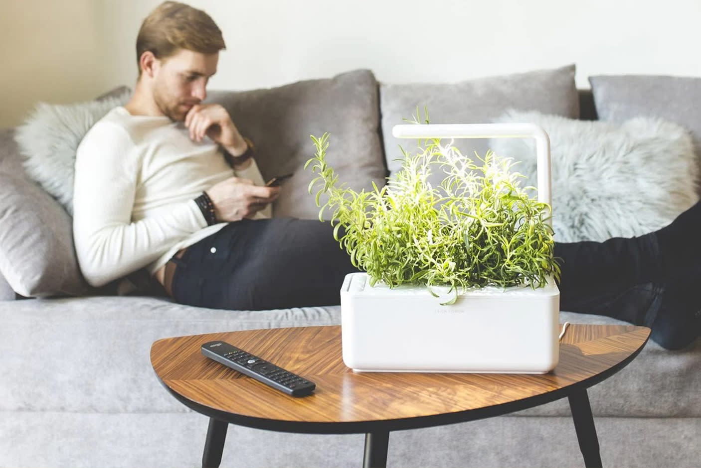 4716353-Tile-3-Click-n-grow-garden3-economy