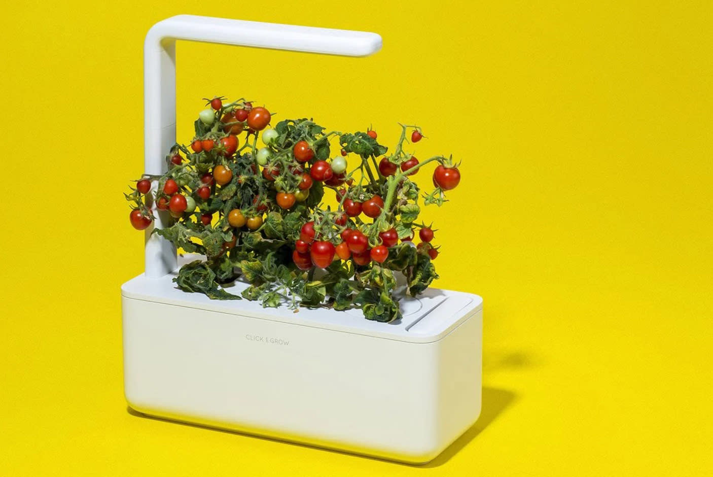 4716353-Tile-2-Click-n-grow-garden3-use