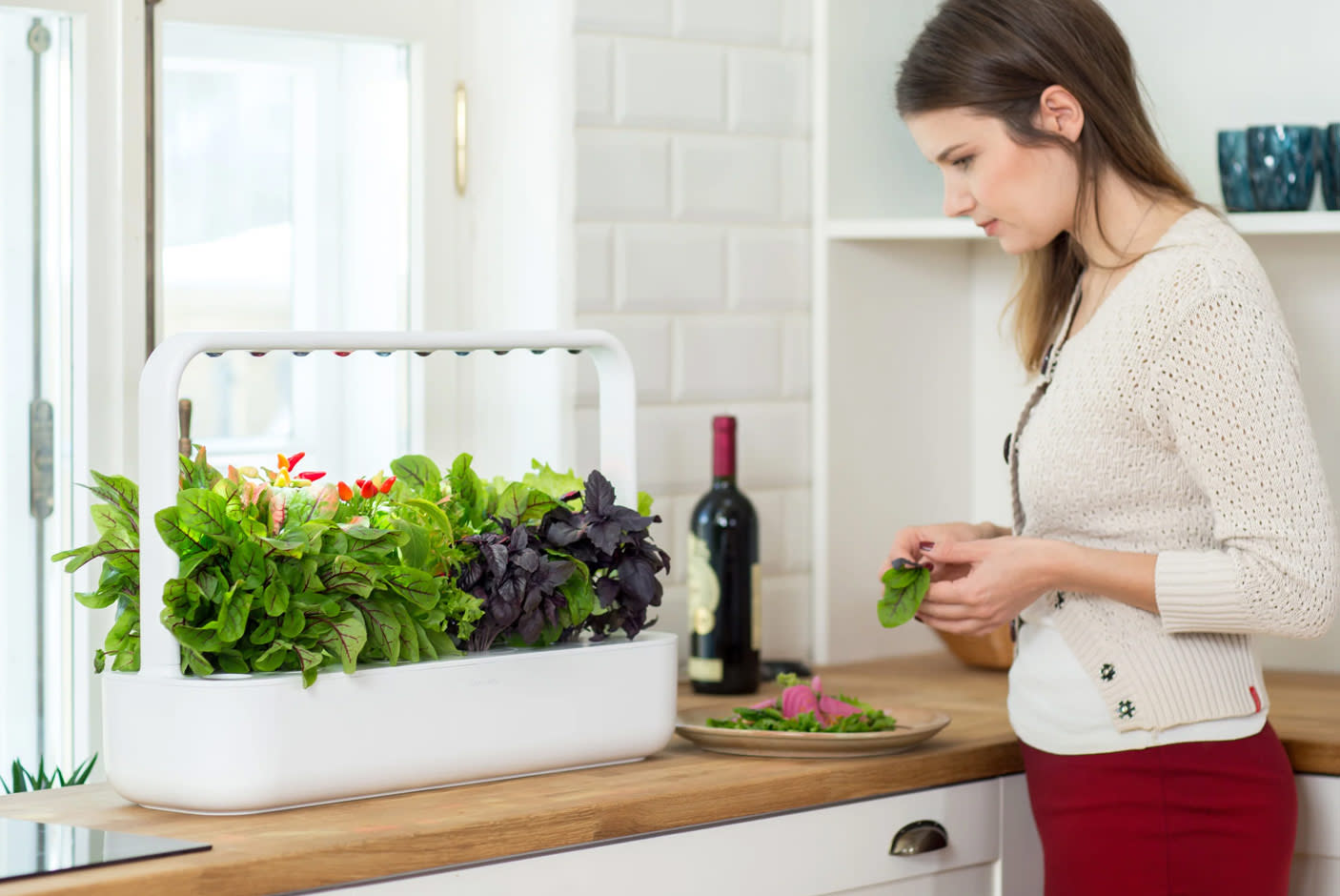 4717120-Tile-2-Click-n-Grow-garden9-usage