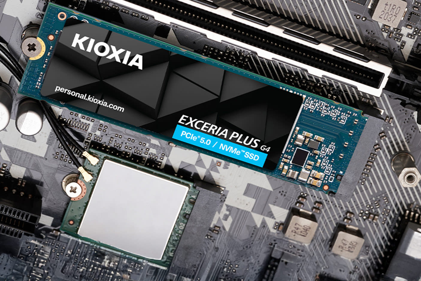 4716302-Tile-2-Kioxia-Exceria-Plus-G4