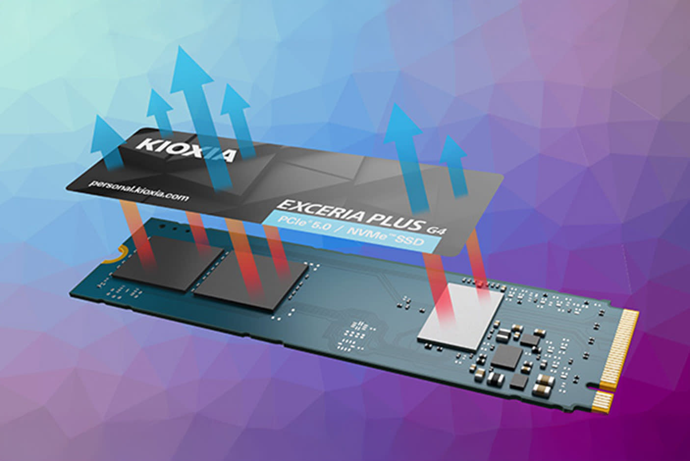 4716302-Tile-3-Kioxia-Exceria-Plus-G4