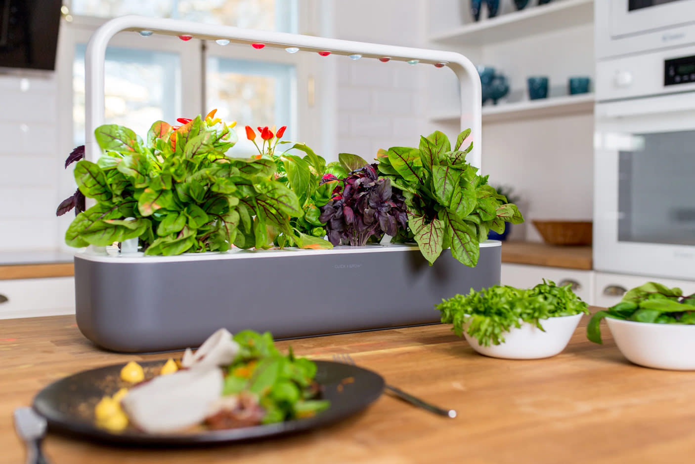 4717120-Tile-3-Click-n-Grow-garden9-economy