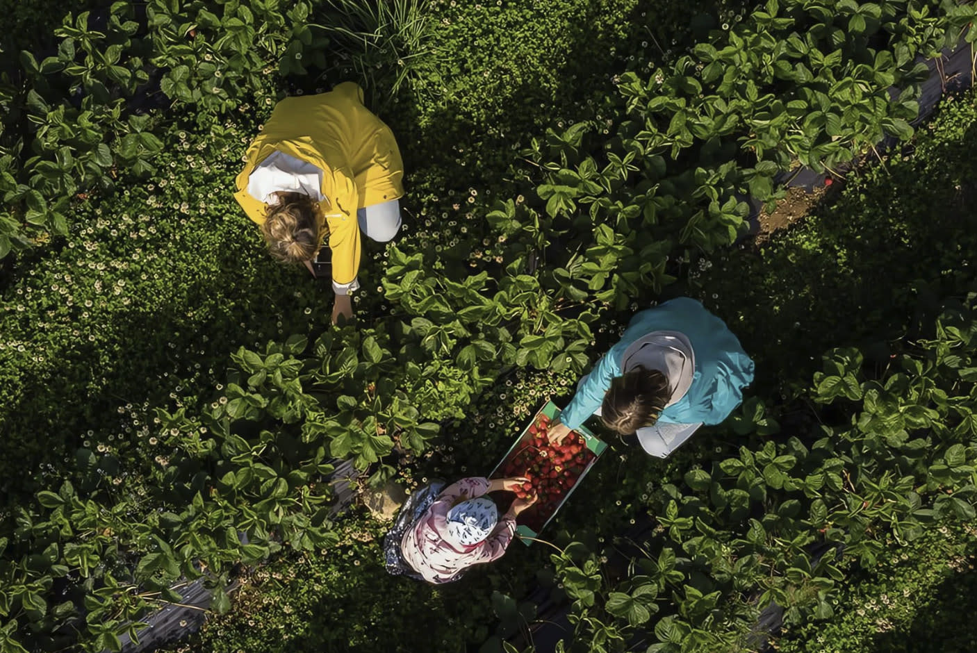 4721829-Tile-9-Eco-Packaging