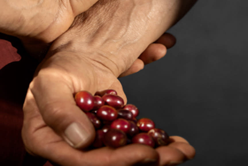 4732235_TILE2_434343