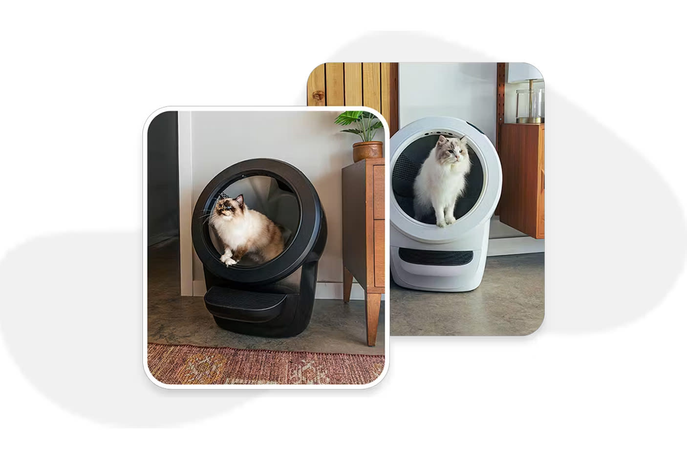 4741706-Tile-1-Litter-Robot-4-ease