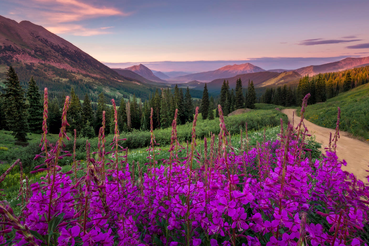 4782518-Tile-5-Dell-P2725D