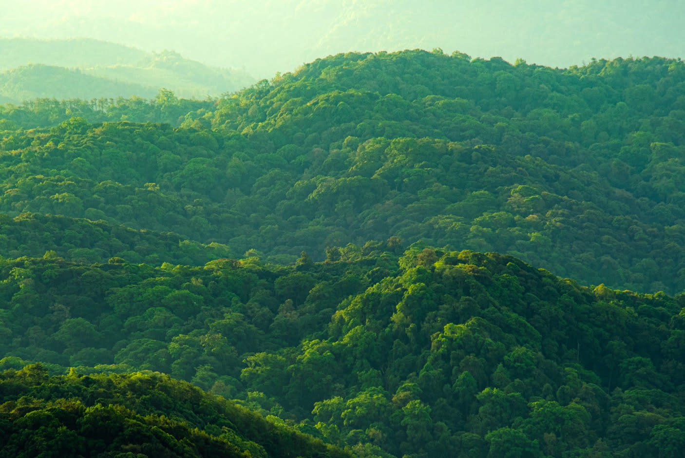 4782526-Tile-8-Environmentally-Forward