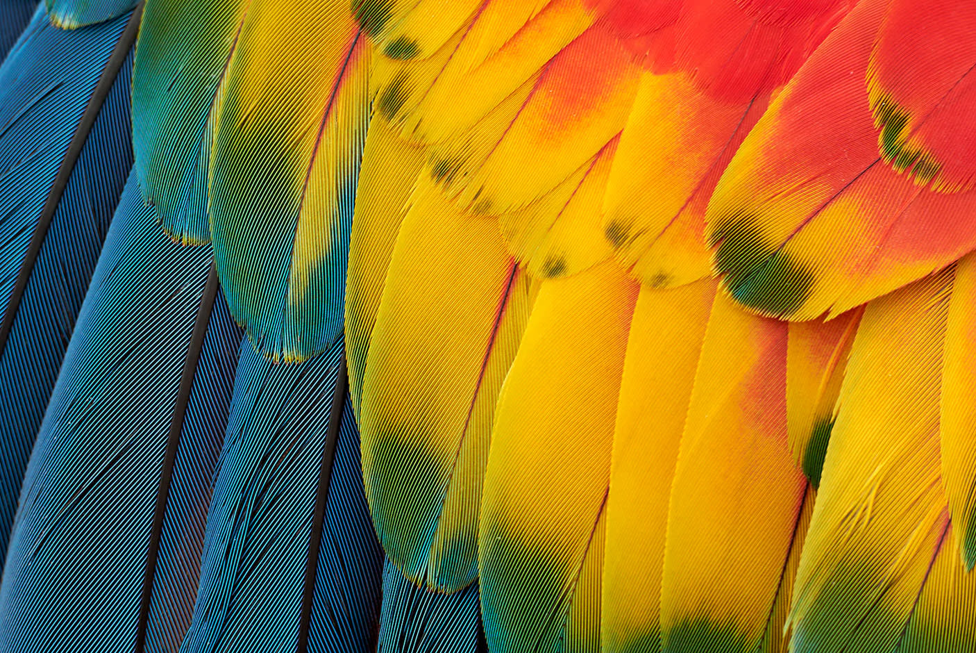 4782607-Tile-2-4-star-Certified