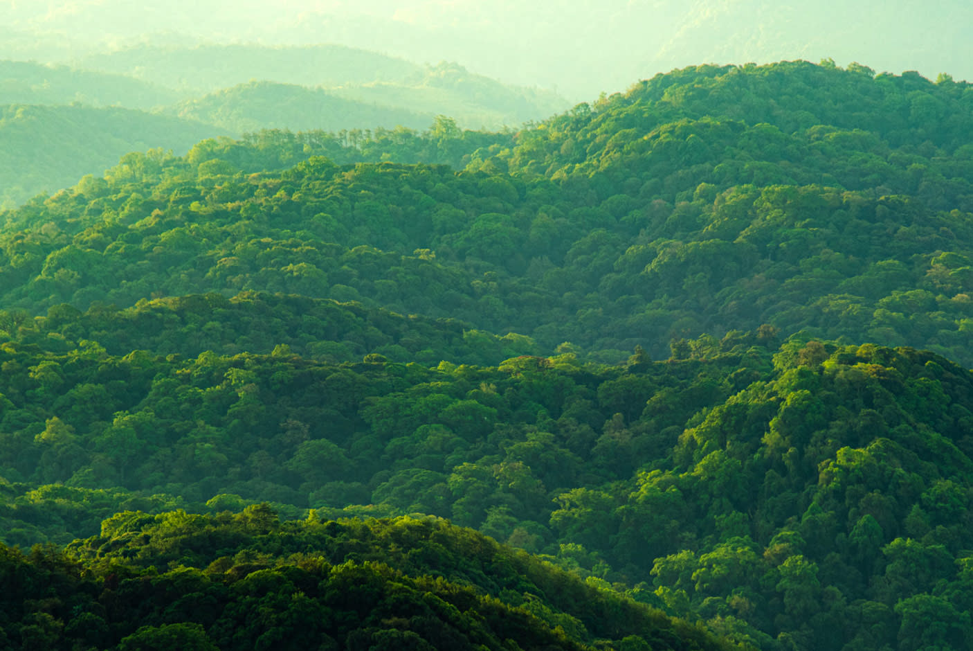 4782607-Tile-6-Sustainably-Made