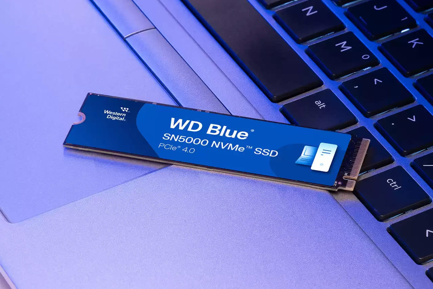 WD Blue SN5000 NVMe™ SSD