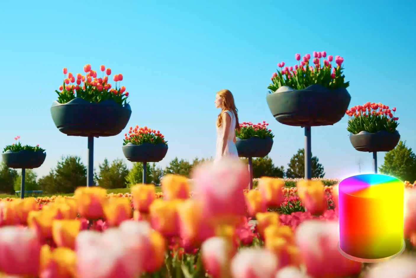 XR Triluminos Max™