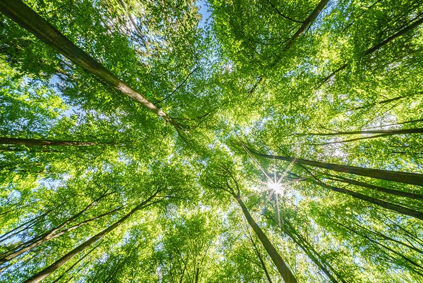 Toner Q-Connect CF363A Magenta