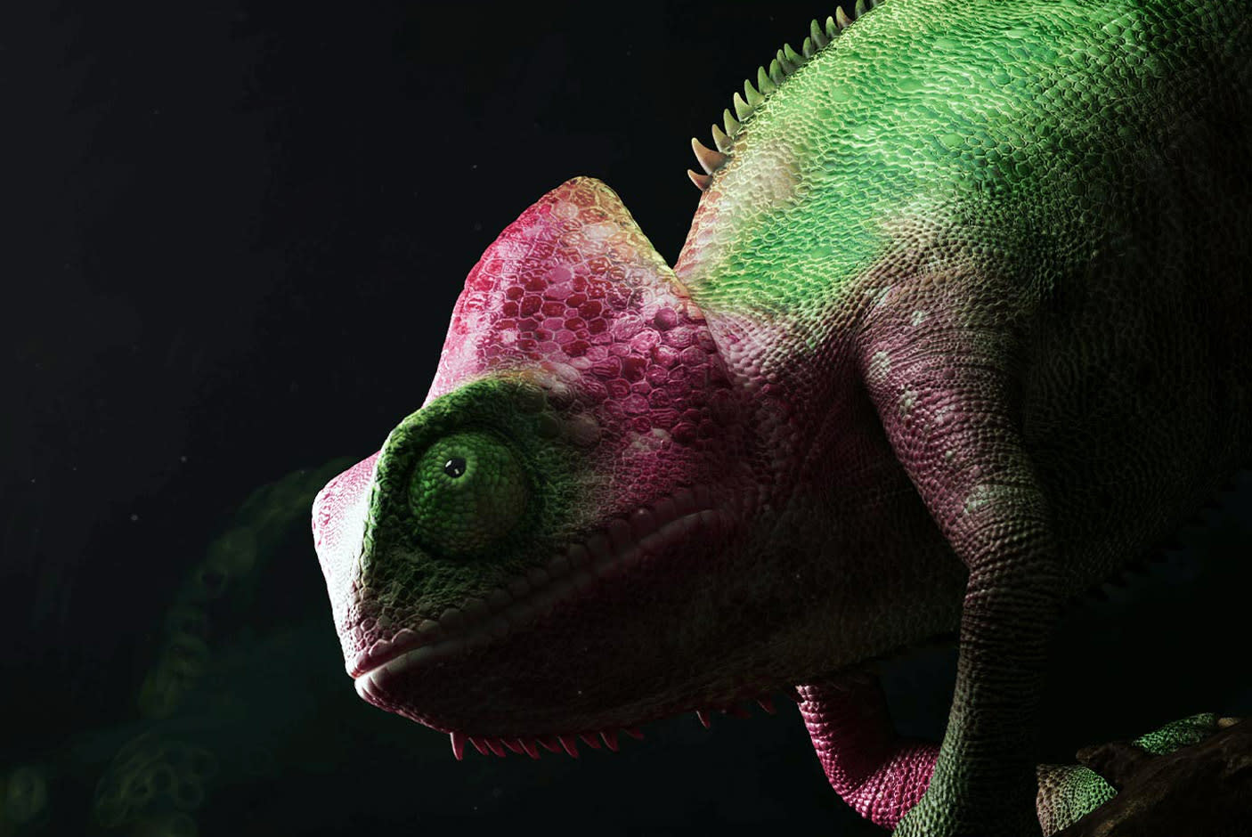 Amazing Local Dimming