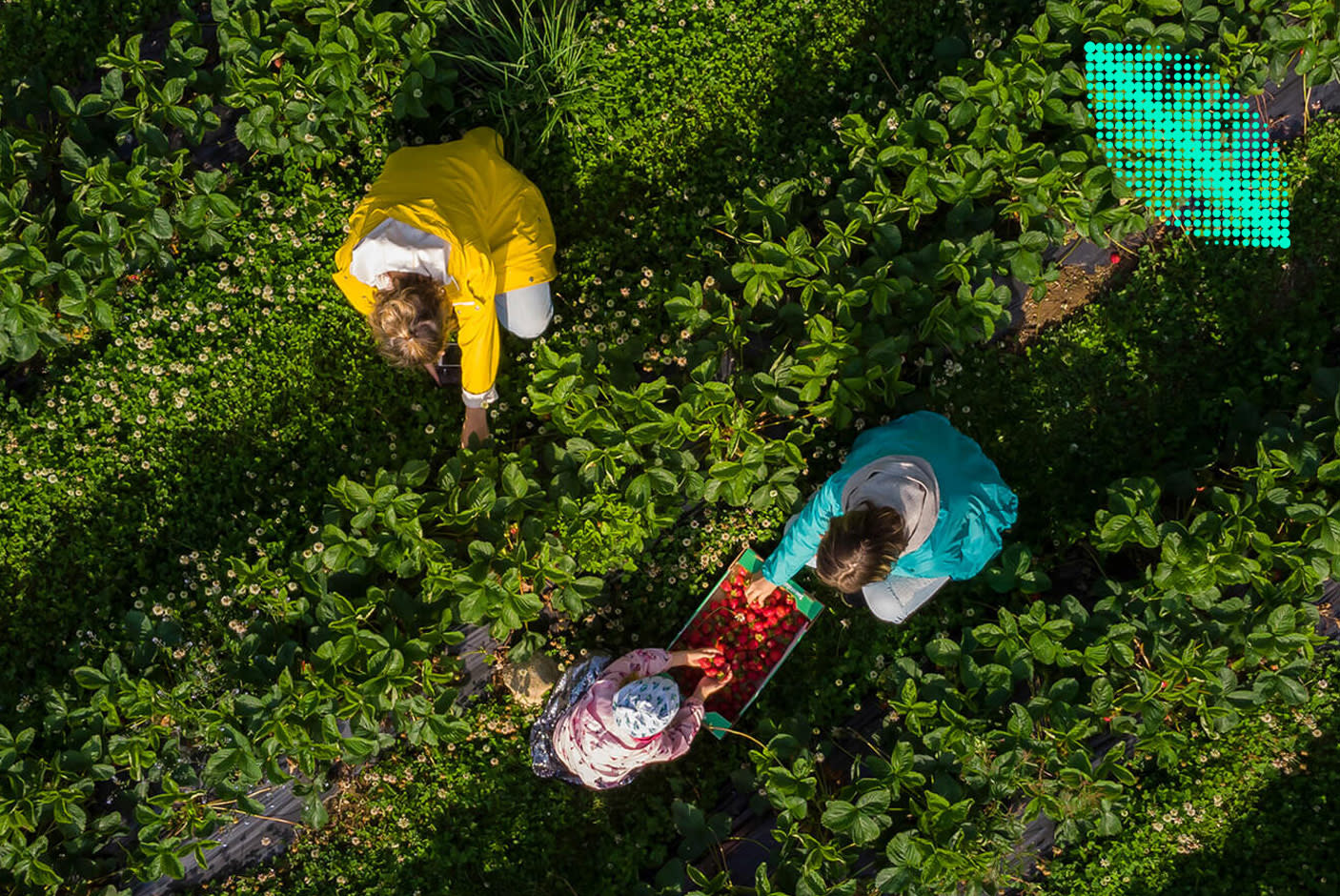 Environmental Certification 