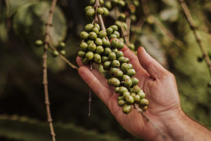 Τεχνική Υποστήριξη & Παραγγελία Καψουλών