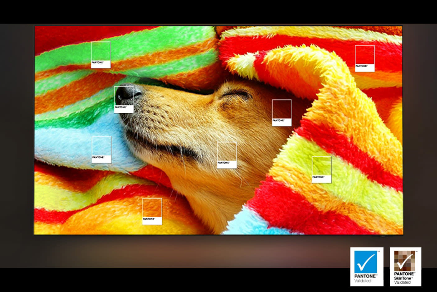 SAMSUNG Neo QLED 4K Mini-LED QN85F Vision AI Smart TVSAMSUNG Neo QLED 4K Mini-LED QN85F Vision AI Smart TVSAMSUNG Neo QLED 4K Mini-LED QN85F Vision AI Smart TVSAMSUNG Neo QLED 4K Mini-LED QN85F Vision AI Smart TVSAMSUNG Neo QLED 4K Mini-LED QN85F Vision AI Smart TVSAMSUNG Neo QLED 4K Mini-LED QN85F Vision AI Smart TV