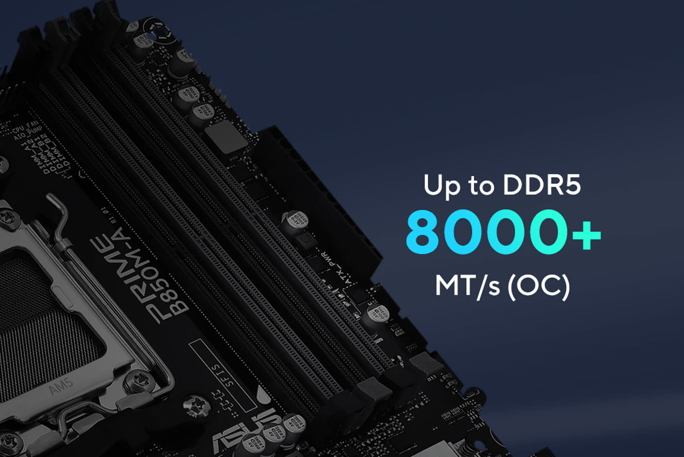 AMD EXPO™ & ASUS AEMP