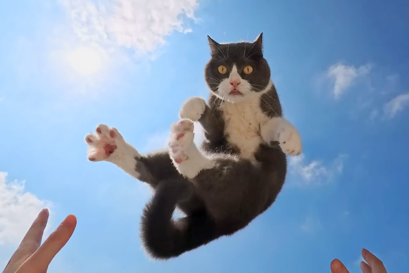 Mount Anywhere Shoot Everywhere