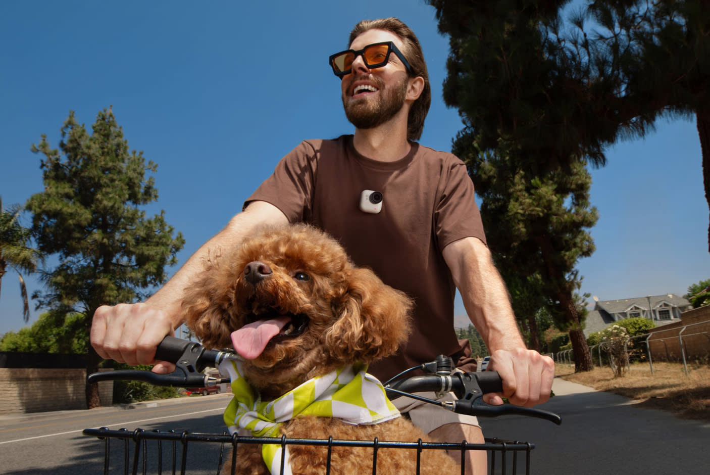 Capture Effortlessly