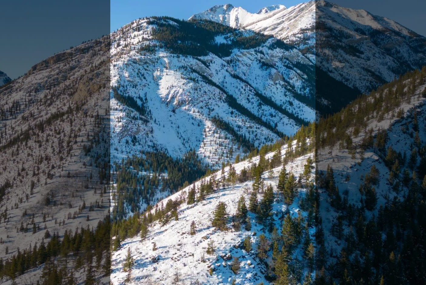 True Vertical Shooting