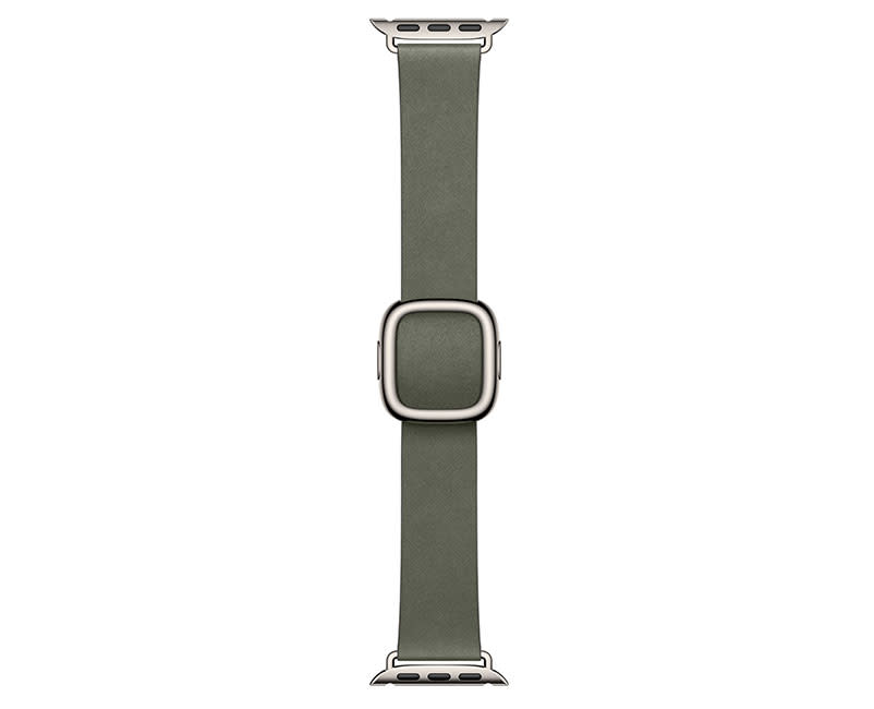 42mm Sage Gray Modern Buckle – Small