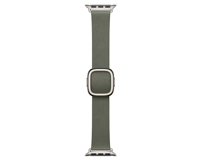 42mm Sage Gray Modern Buckle – Medium