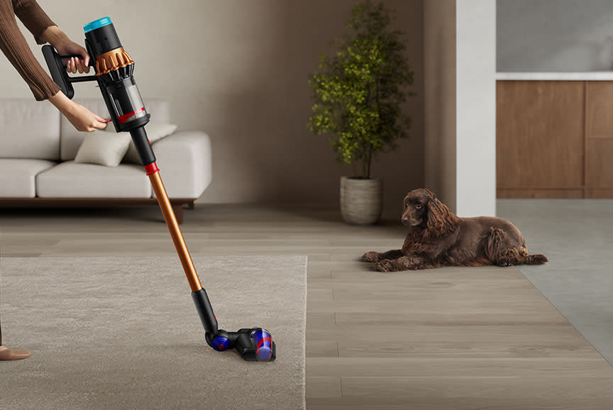 Dyson Σκούπα Stick Επ. V16 Piston Animal