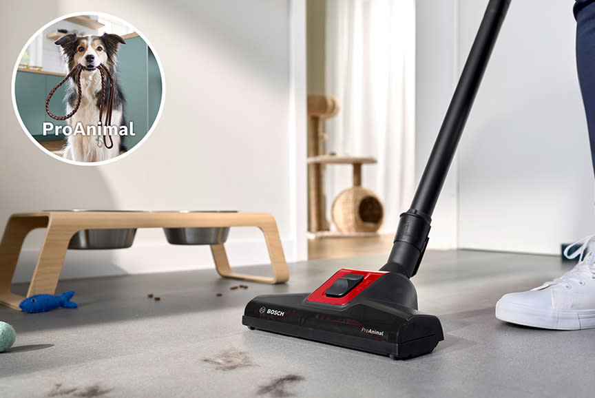 Ναι στις αγκαλιές, όχι στις τρίχες! 