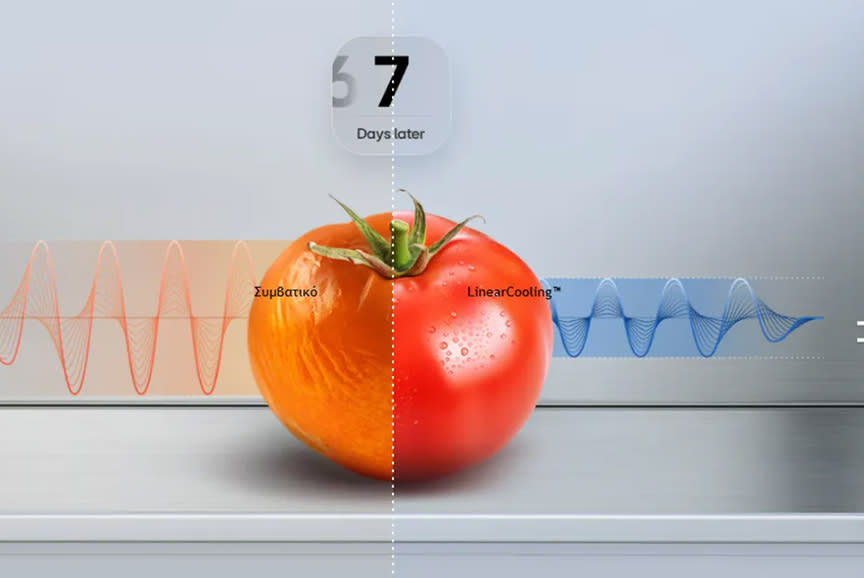 LG Ψυγειοκαταψύκτης GBBSJ20DSW