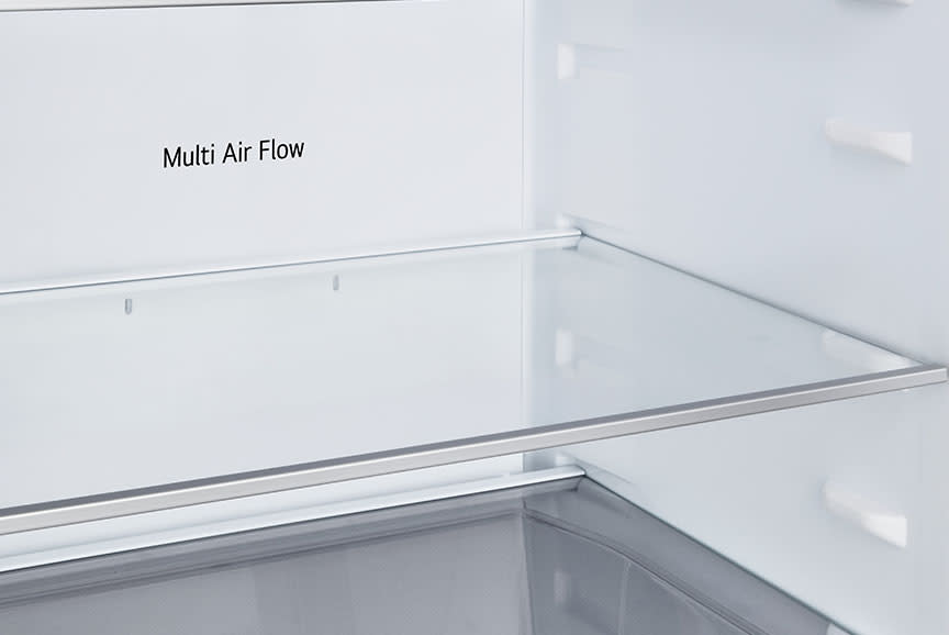 LG Ψυγειοκαταψύκτης GBBSJ20DPY