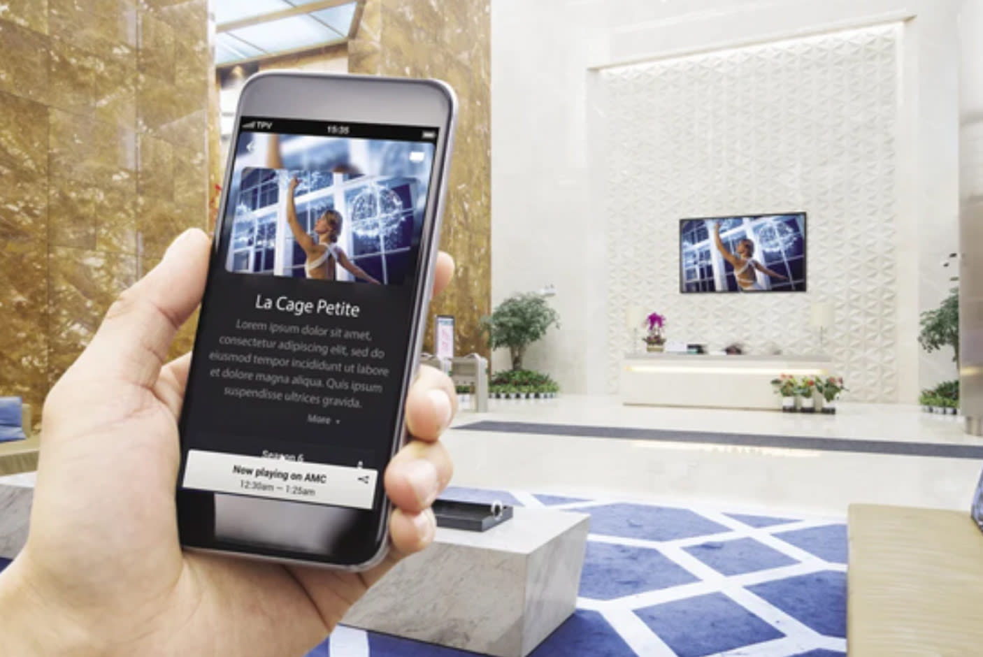 Philips TV 32'' 32HFL5114