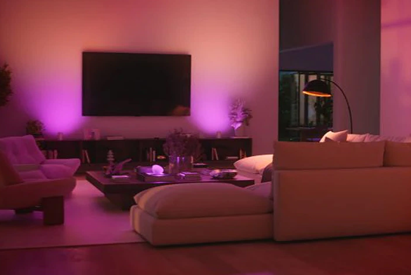 Philips Hue Bridge Pro 