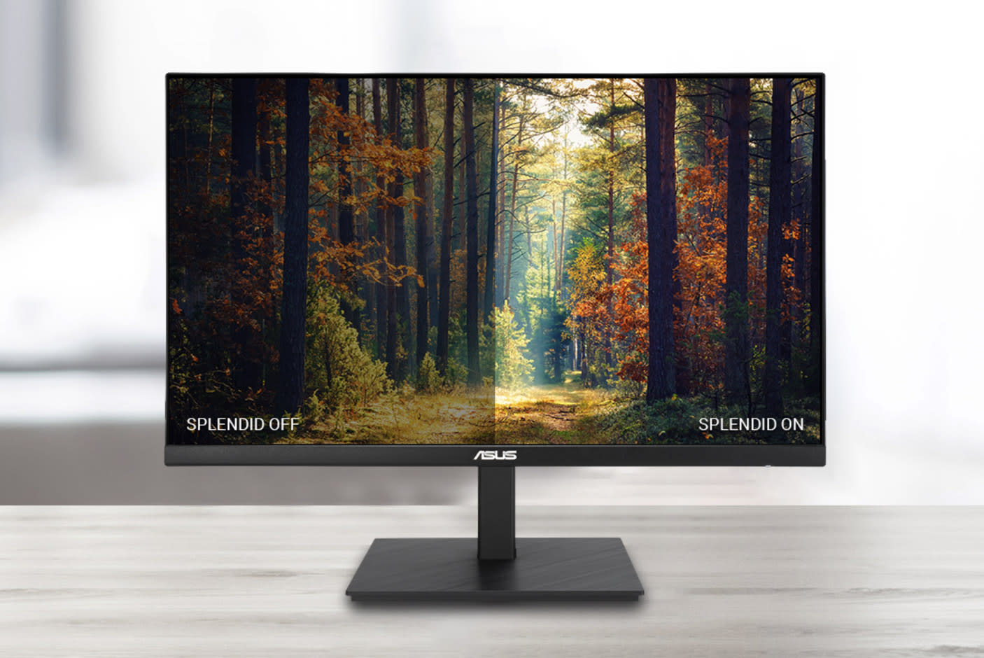 Splendid™ Video Intelligence