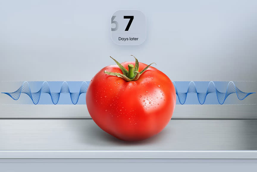 LG Ψυγειοκαταψύκτης GBBSJ20EEP