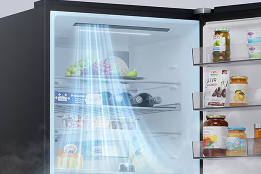 LG Ψυγειοκαταψύκτης GBBSJ20EEP