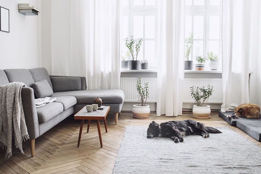 Ήρεμη δύναμη! 