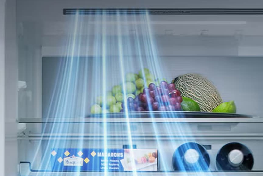 LG Ψυγειοκαταψύκτης GBBSJ20EEP