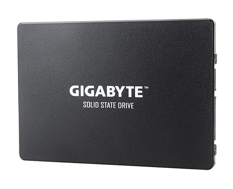 GIGABYTE SSD 256GB (GP-GSTFS31256GTND)
