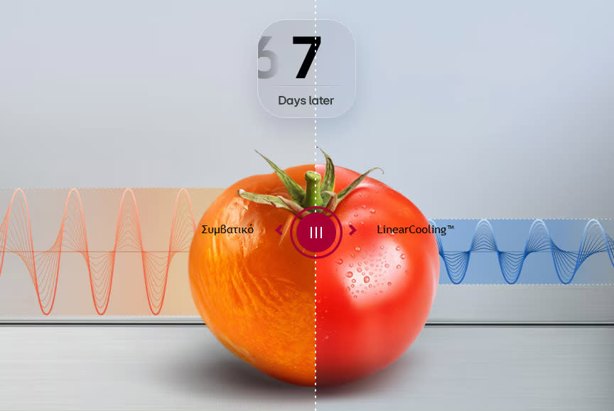 LG Ψυγειοκαταψύκτης GBBS322CPY