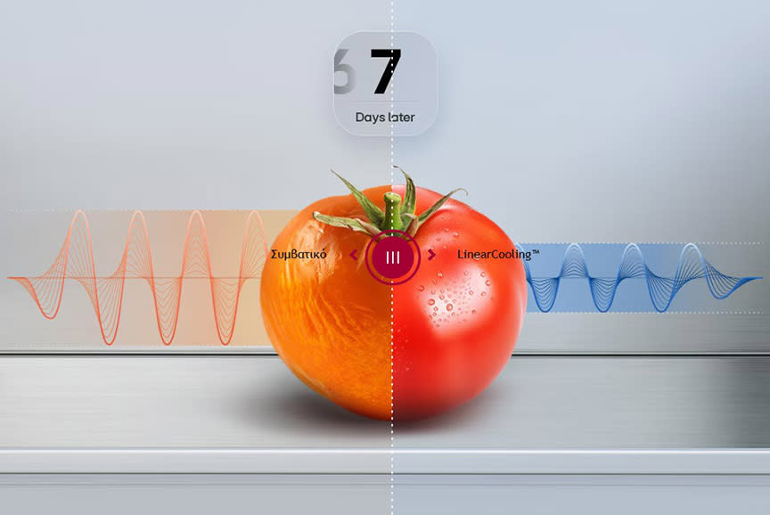 LG Ψυγειοκαταψύκτης GBBS322BPY