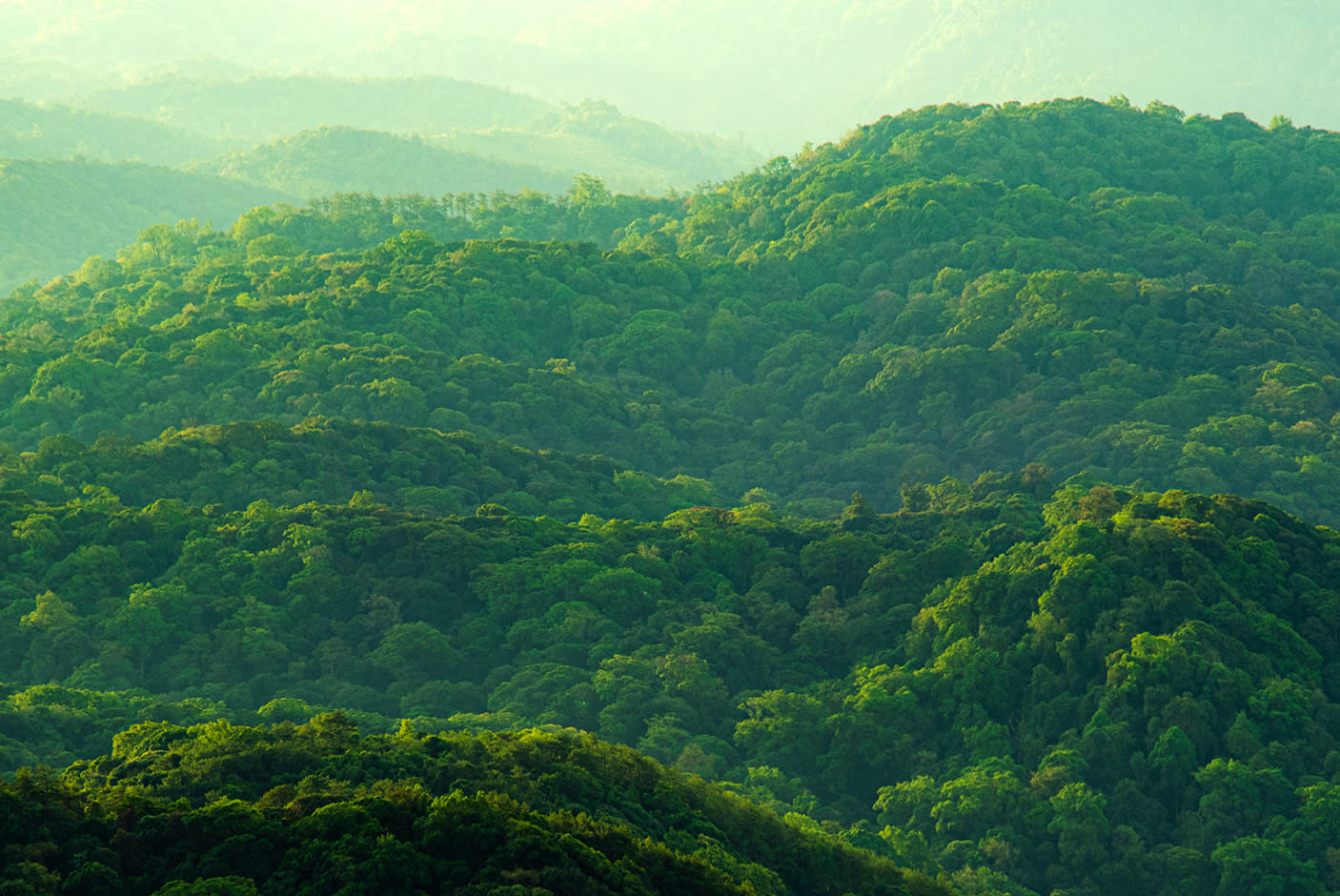 Dell 27 Plus QHD Monitor - S2725DSM