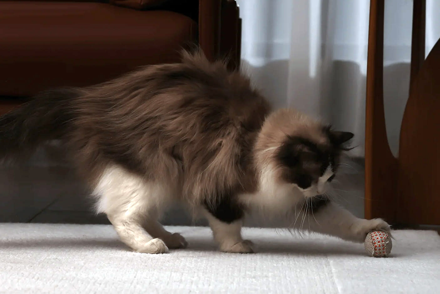 5039029-Tile-4-Greater-Monitoring-Accuracy