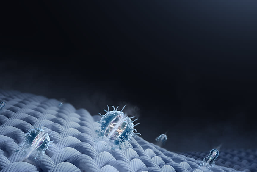 Καθαρίζει… με τη δύναμη του ατμού!