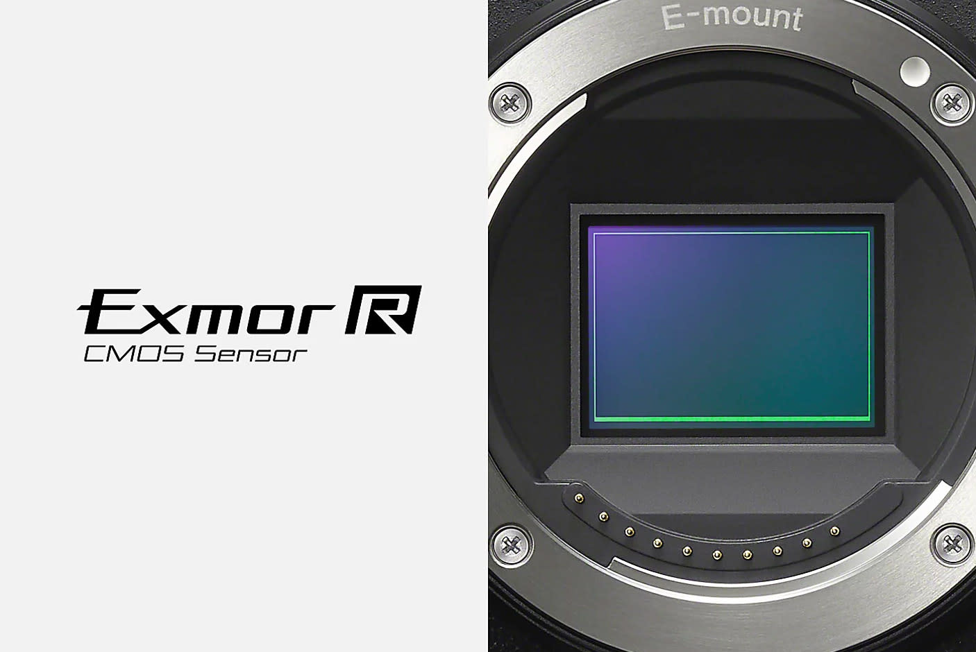 Exmor R™ + BIONZ XR™