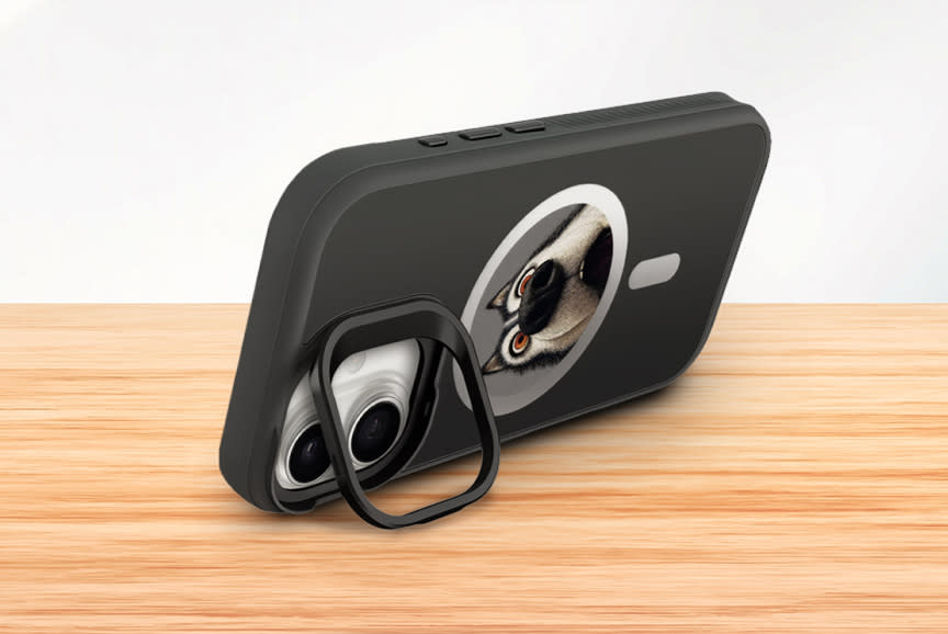 Θήκη Sentio E-Ink iPhone 17